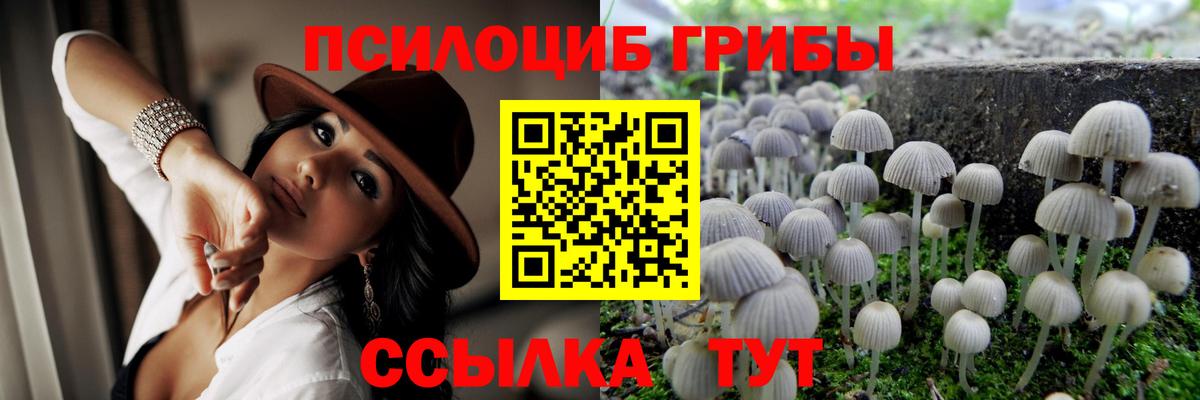 Псилоцибиновые грибы MAGIC MUSHROOMS  сколько стоит  Дюртюли  Вход с VPN 